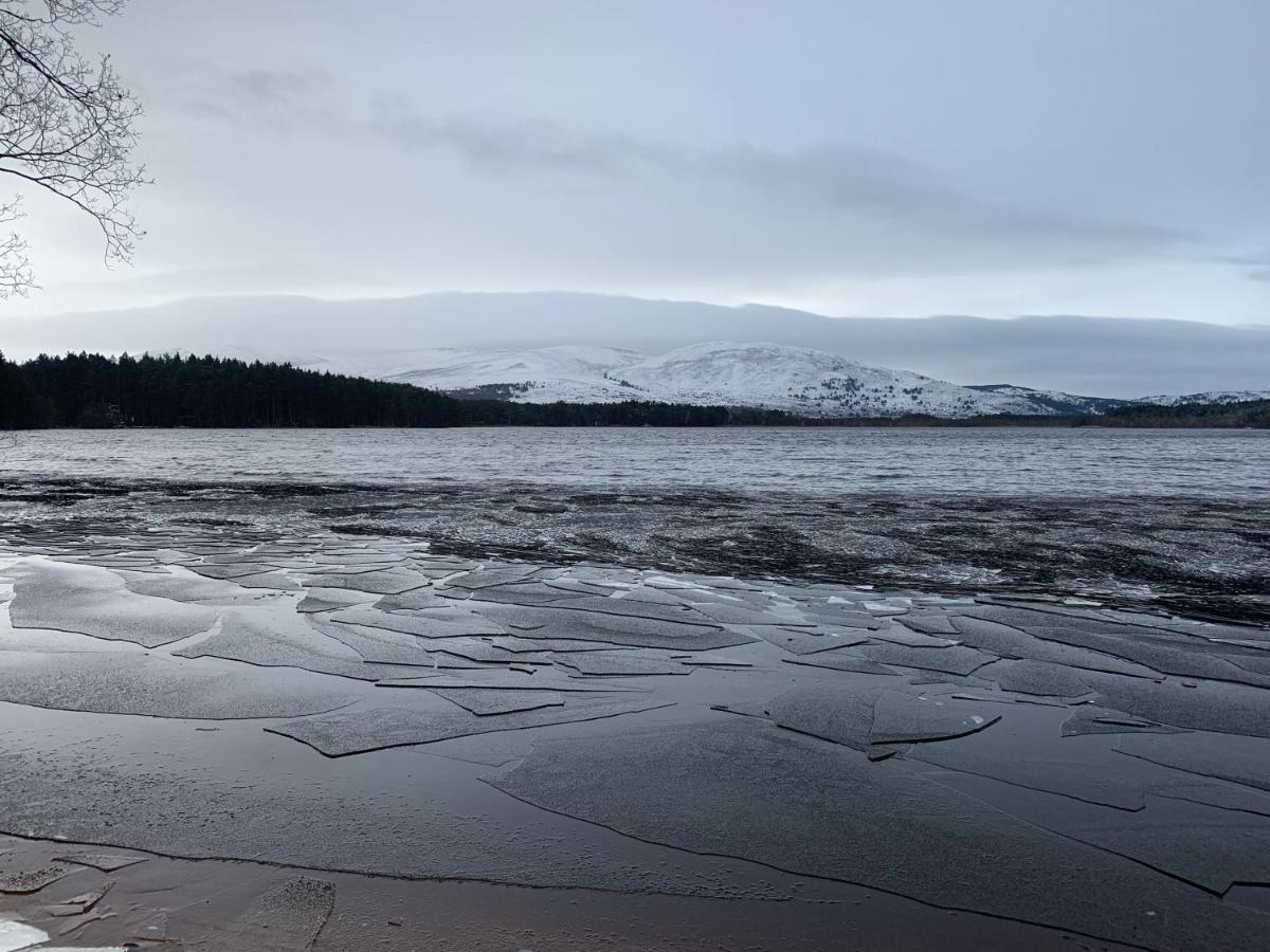 The One - Chalet In The Cairngorms Boat of Garten Εξωτερικό φωτογραφία